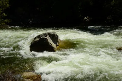 DSC_2250 (Large).JPG